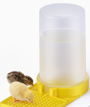 Small Animals Supplies - Waterer -Quail, Chick, Pheasant Chick