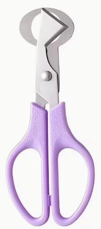 Quail Egg Scissors