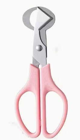 Quail Egg Scissors