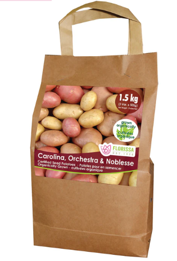 Seed Potatoes