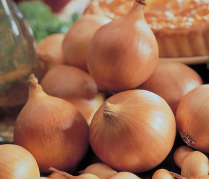 Onion Sets