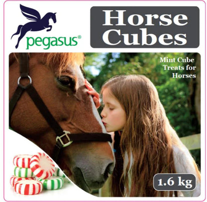 Pegasus - Horse Treat Cube - 1.6kg