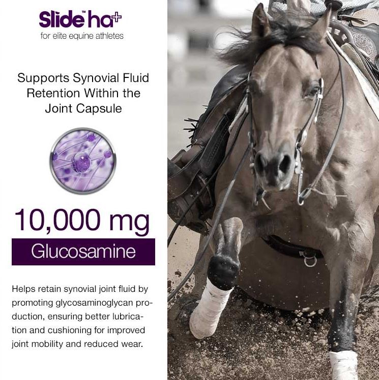 Slide - HA Advanced Joint Luberication