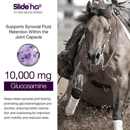 Slide - HA Advanced Joint Luberication