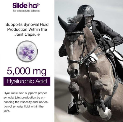 Slide - HA Advanced Joint Luberication