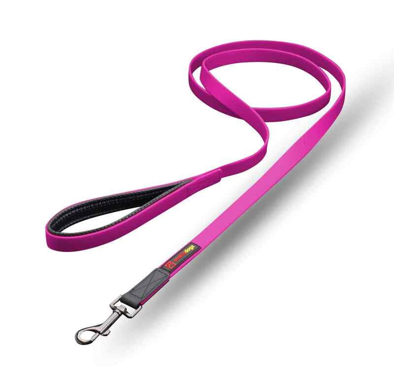 SmellyDogz - Comfort Lead