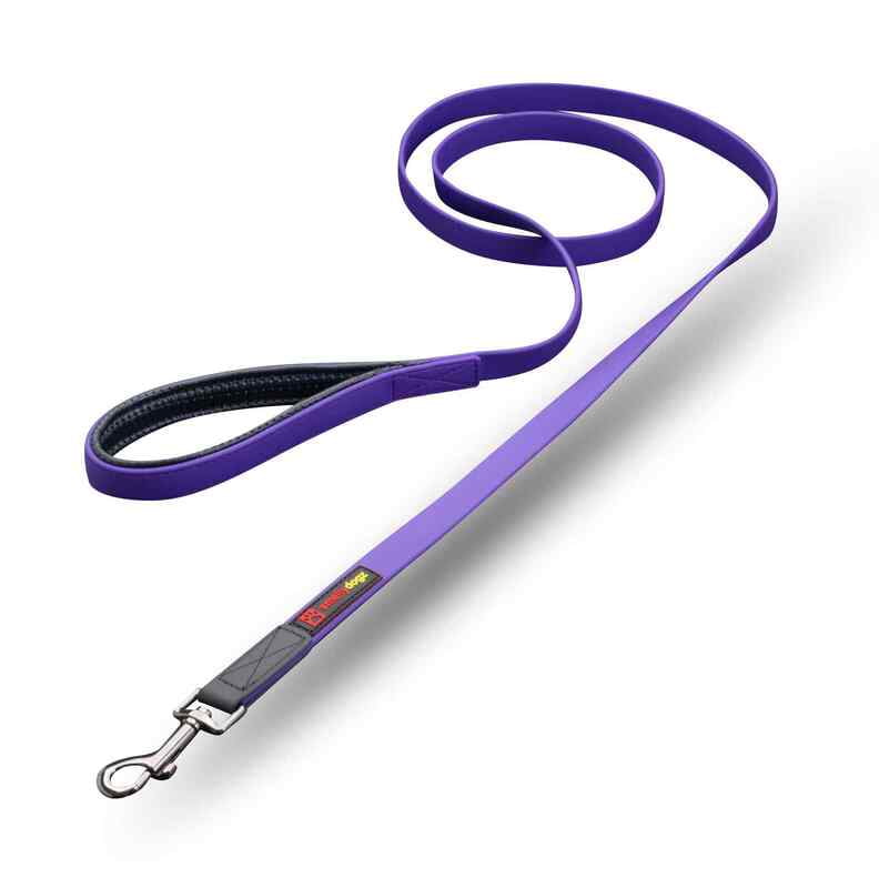 SmellyDogz - Comfort Lead