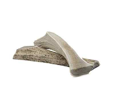 FureverPure - Antler Dog Chew