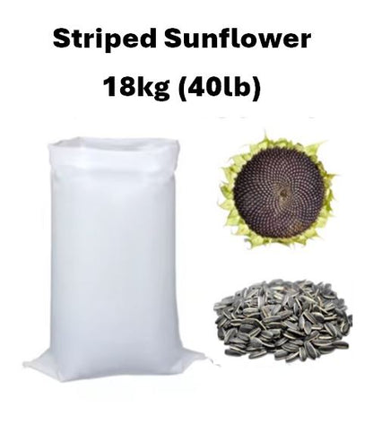 Striped Sunflower Seeds - 18kg (40 lb)