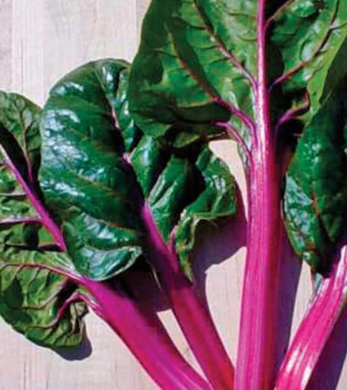 West Coast Seeds - Swiss Chards