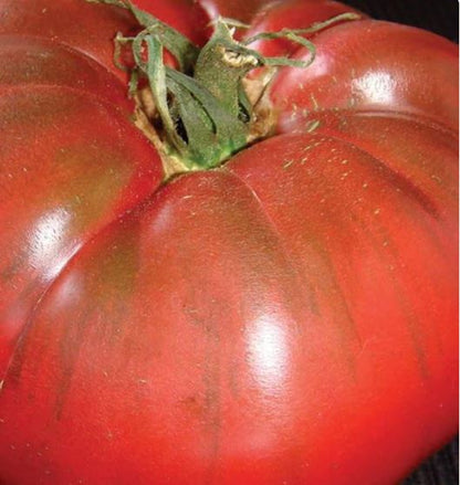 West Coast Seeds - Tomatoes