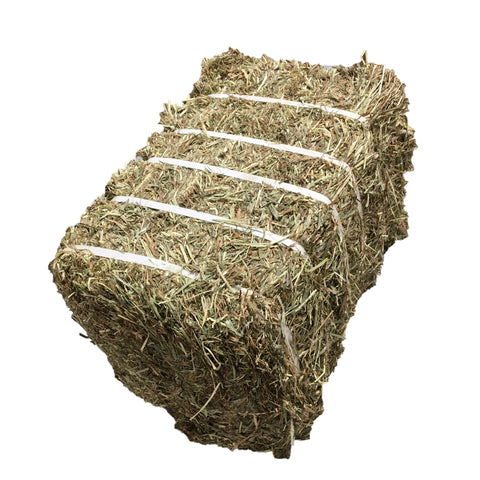 Compressed Hay - Square Bale