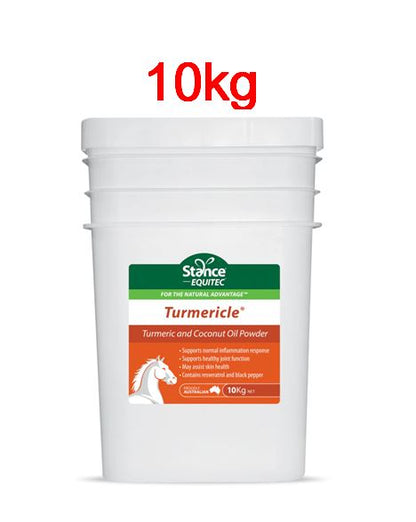 Stance - Turmericle ** CLEARANCE SALE**