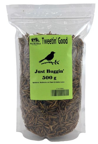 Tweetin' Good - Early Bird - Just Buggin'