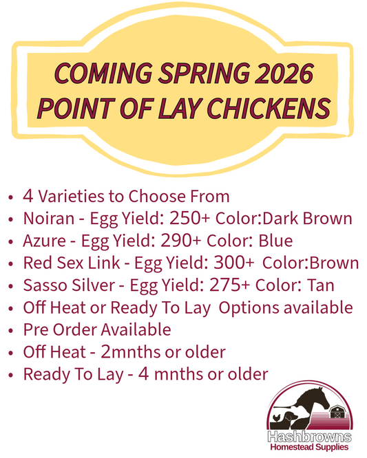 March 29, 2026 - Started Off Heat (8+ week old) - Pullets - Shipment 1