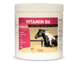 Riva's Remedies - Vitamin B6 - Horse