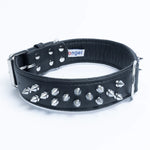 Angel - Amsterdam Leather Dog Collar - Spiked