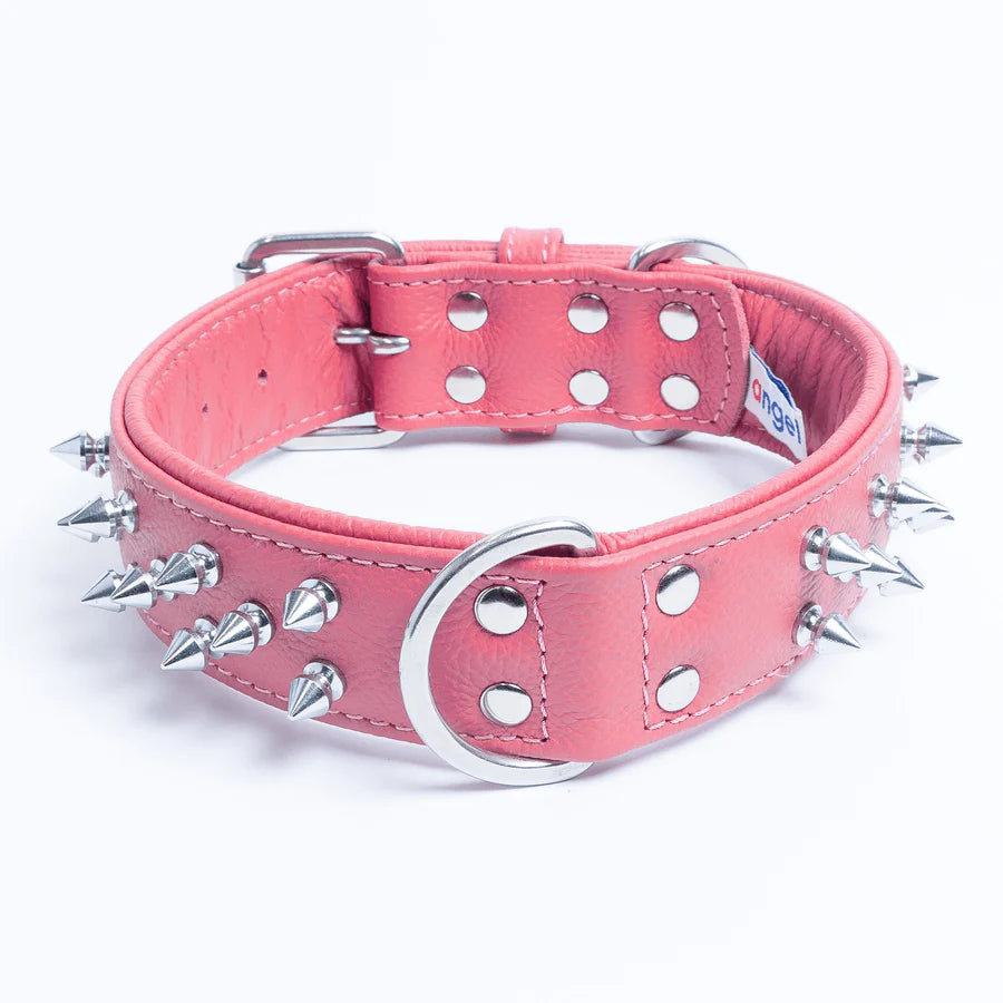 Angel - Amsterdam Leather Dog Collar - Spiked