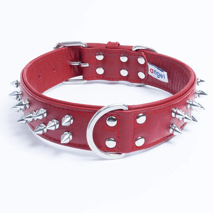 Angel - Amsterdam Leather Dog Collar - Spiked