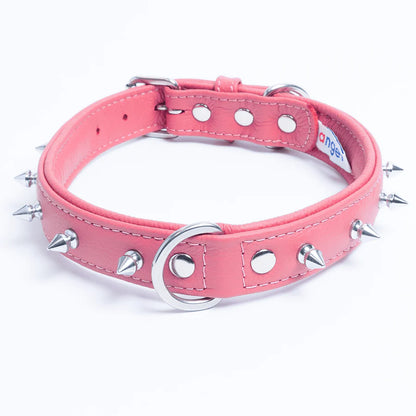 Angel - Rotterdam Spiked Leather Dog Collars