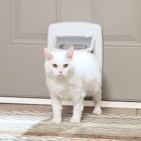 Pet Safe - 4 Way Locking Cat Door