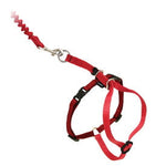Pet Safe - Come With Me Kitty Harness