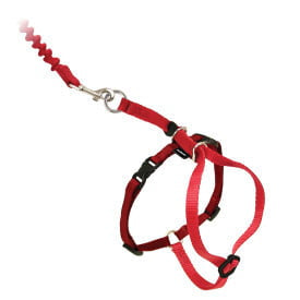 Pet Safe - Come With Me Kitty Harness