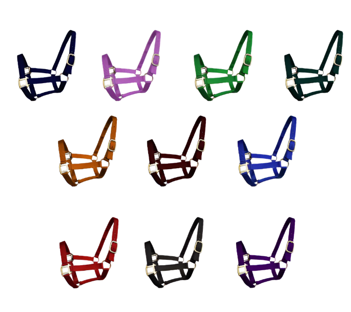 True North - Economy Nylon Horse Halter - Mini