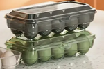 Egg Carton - Plastic - 10 Egg