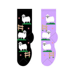Foozys Socks - Kids Collection