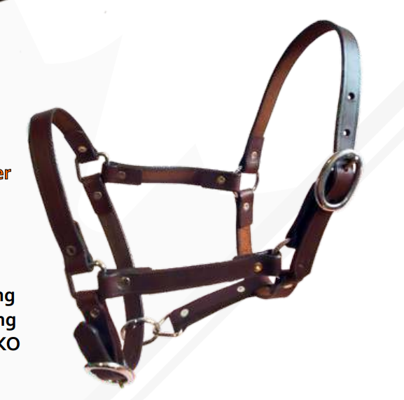 True North - Riveted Foal Halter - Weanling