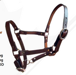 True North - Riveted Foal Halter- Weanling