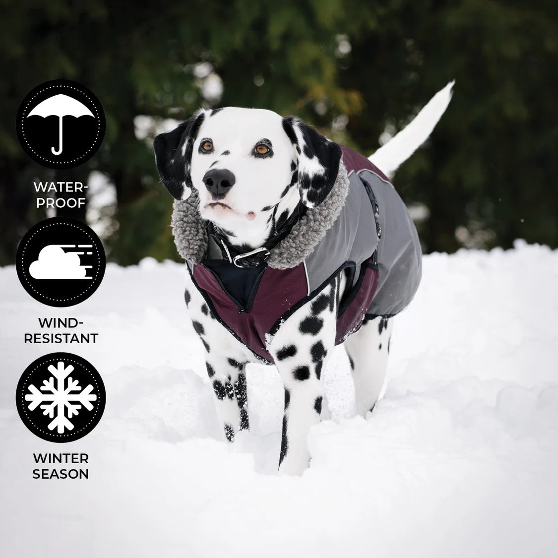 Shedrow K9 - Chinook Dog Coat