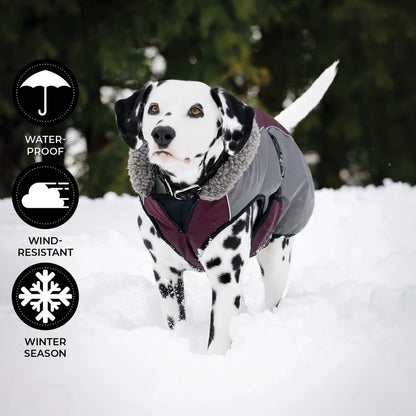 Shedrow K9 - Chinook Dog Coat