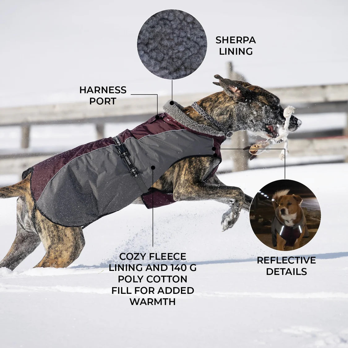 Shedrow K9 - Chinook Dog Coat