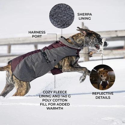 Shedrow K9 - Chinook Dog Coat