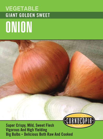 Cornucopia - Onions