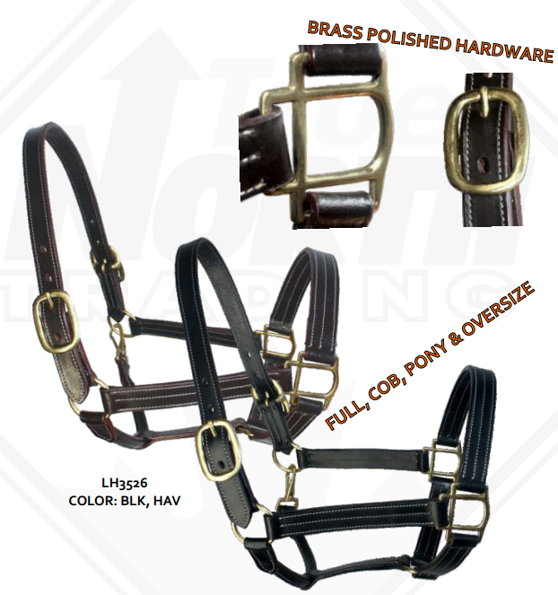 True North - Triple Stitch Leather Halter - Average - Havana