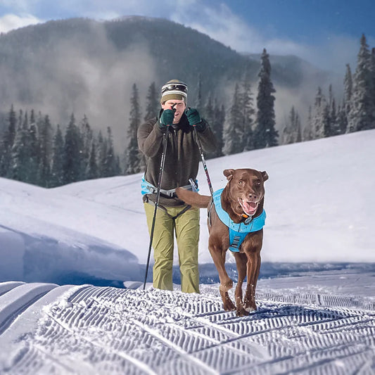 Kurgo - Joring Dog Harness Long Hauler