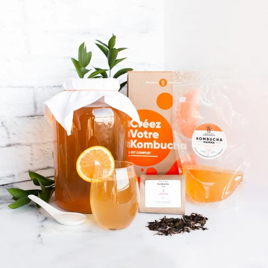 Kombucha Brewing Kit - Scoby NOT included