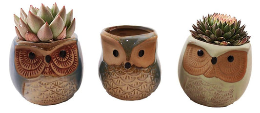 Giftware - Mini Owl Pots