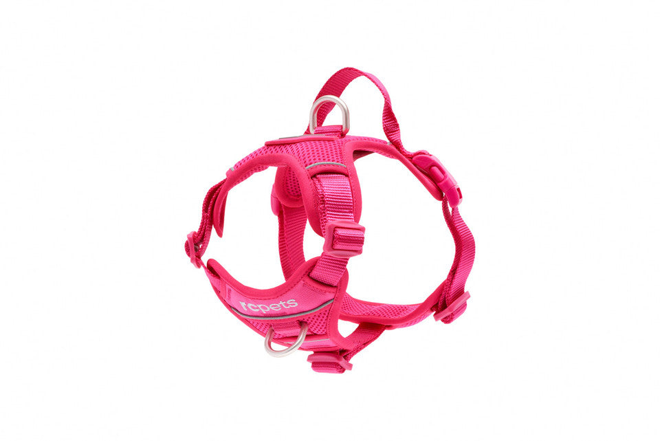 RC Pets - Momentum Harness