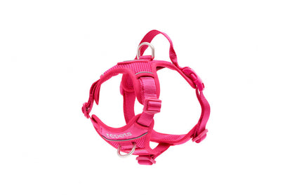 RC Pets - Momentum Harness