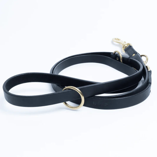 Angel - Multi-Function Dog Leash