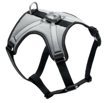 RC Pets - Nova Led Light Pet Harness