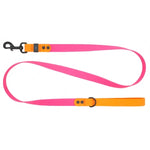 RC Pets - Waterproof Leash