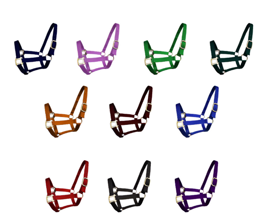 True North - Economy Nylon Horse Halter - Pony