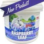 Raspberry Leaf - 1 kg