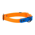 RC Pets- Waterproof Collar