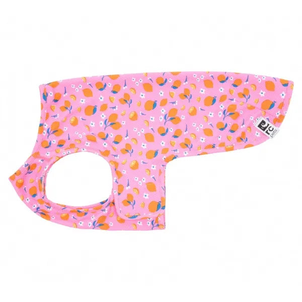 RC Pets - Zephyr - Pet Cooling Vest